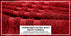 ecomposer-color-red,ecomposer-size-35X70-Jumbo-(2-Pcs)