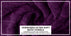 ecomposer-color-purple-passion,ecomposer-size-35X70-Speed-Breaker-(2-Pcs)
