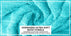 ecomposer-color-aqua,ecomposer-size-35X70-Speed-Breaker-(2-Pcs)