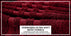 ecomposer-color-Pomegranate,ecomposer-size-35X70-Jumbo-(2-Pcs)