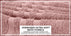 ecomposer-color-dusty-rose,ecomposer-size-35X70-Jumbo-(2-Pcs)