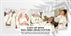 ecomposer-color-bathrobe-cannoli-cream