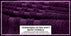 ecomposer-color-purple-passion,ecomposer-size-35X70-Jumbo-(2-Pcs)