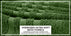 ecomposer-color-sage-green,ecomposer-size-35X70-Jumbo-(2-Pcs)