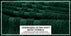 ecomposer-color-hunter-green,ecomposer-size-35X70-Jumbo-(2-Pcs)