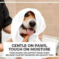 ecomposer-color-White-pet-Salon