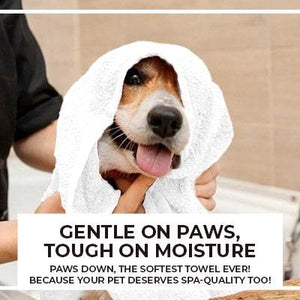 ecomposer-color-White-pet-Salon