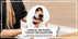 ecomposer-color-White-pet-Salon