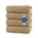 Everyday Essential Cotton Bath Towels - (Pack of 4) DAN RIVER