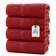 Plush Bath, Hand & Face Towels