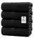 Everyday Essential Cotton Bath Towels - (Pack of 4) DAN RIVER
