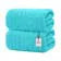 Cloud Plush Oversized Bath Sheets