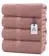 Everyday Essential Cotton Bath Towels - (Pack of 4) DAN RIVER