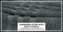 ecomposer-color-gray,ecomposer-size-35X70-Jumbo-(2-Pcs)